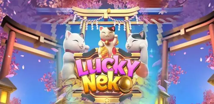 Lucky Neko CO168 - cover หน้าปก