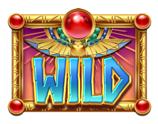สัญลักษณ์ Wild