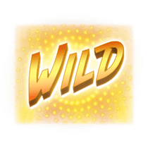 สัญลักษณ์ wild Hip Hop Panda CO168