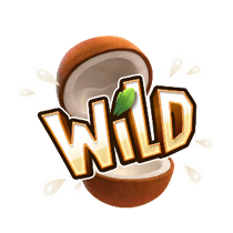 สัญลักษณ์ Wild