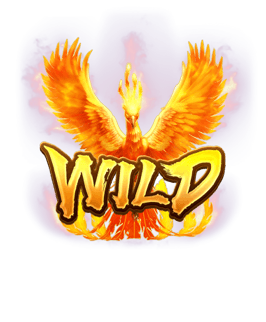 สัญลักษณ์ Wild