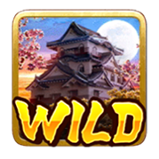 สัญลักษณ์ wild นินจาปะทะซามูไร