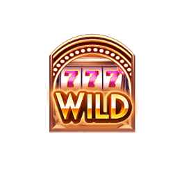 สัญลักษณ์ Wild